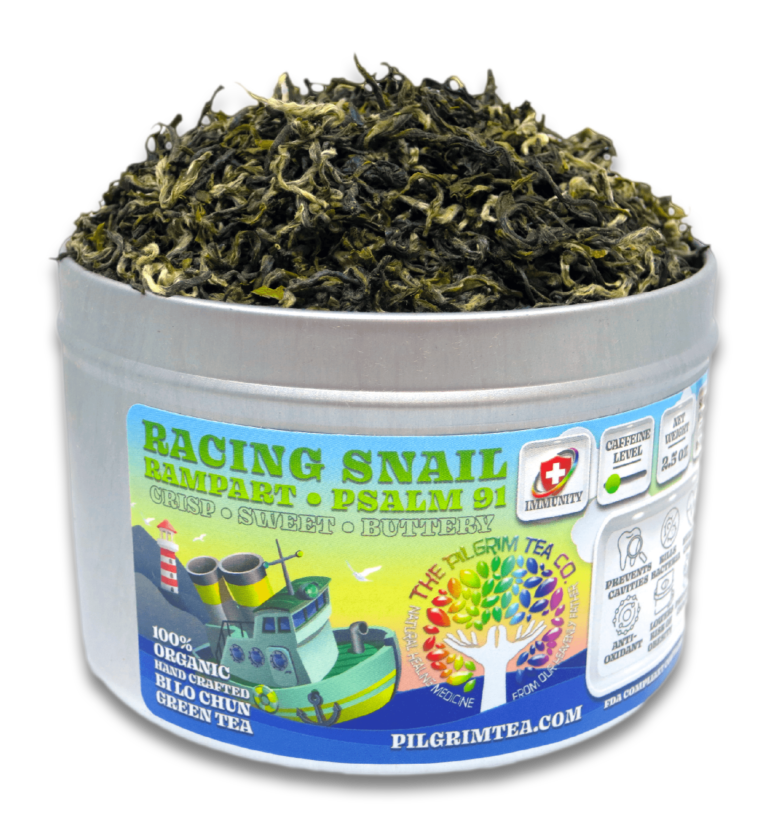 RACING SNAIL FEATURED