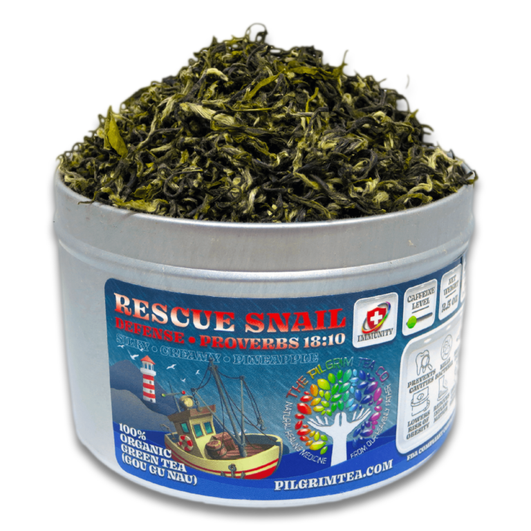 RESCUE SNAIL FEATURED